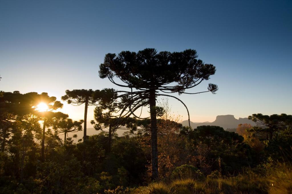 Hotel Frontenac Campos do Jordão Zewnętrze zdjęcie